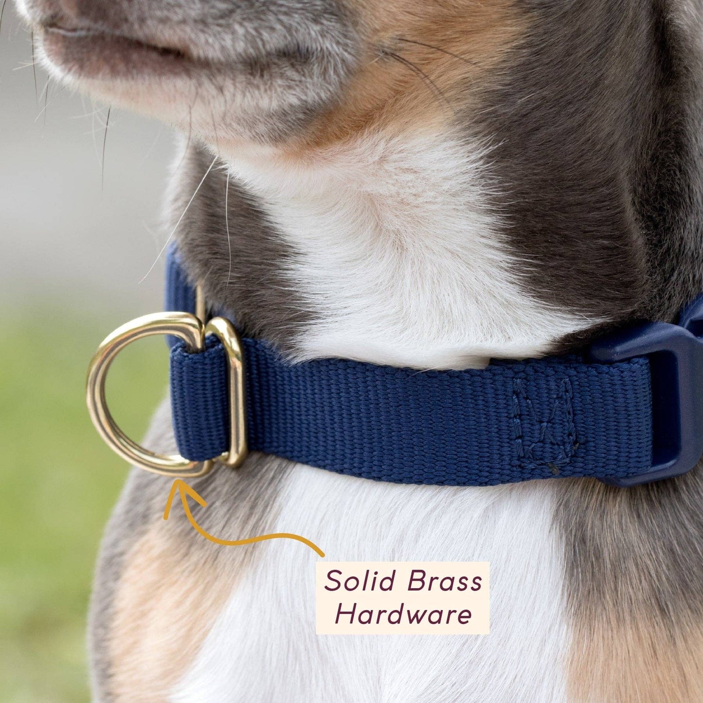 Awoo Pack Collar