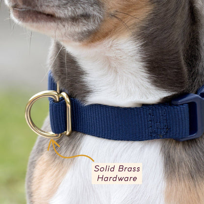 Awoo Pack Collar