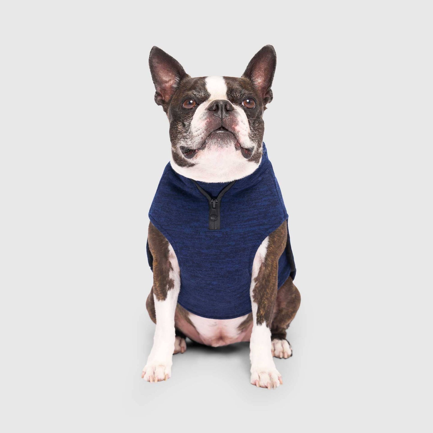 Waterproof Sweater- Dog Sweater