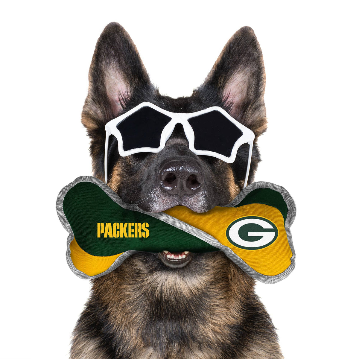 Packers Tug Bone