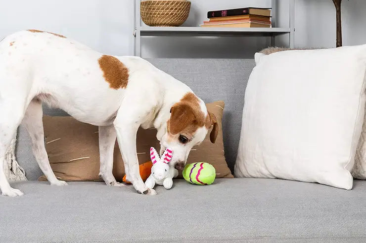 Hide a Toy Easter Basket Dog Toy