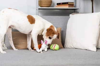 Hide a Toy Easter Basket Dog Toy