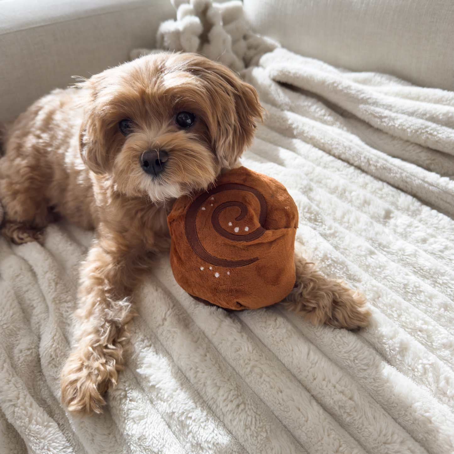 CHEWFFON Cinnamon Roll Squeaky Snuffle Toy