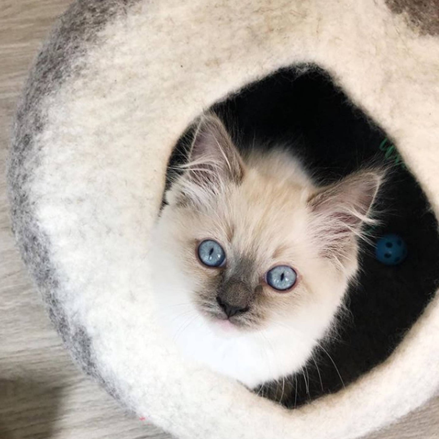 Ombre Wool Pet Cave