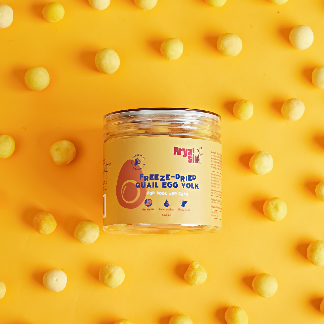 Arya Sit Freeze-Dried Egg Yolk