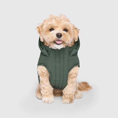 Waterproof Dog Puffer