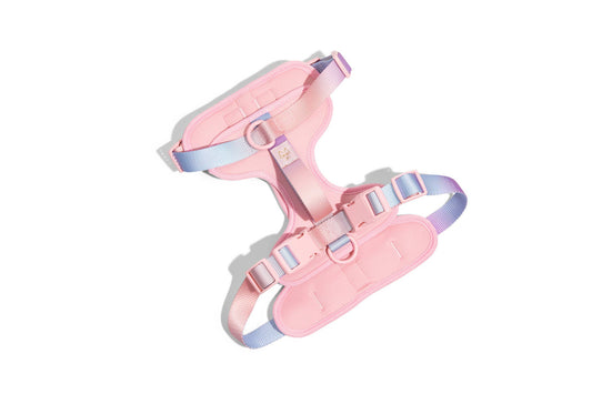 Diem Dog Harness | Pink