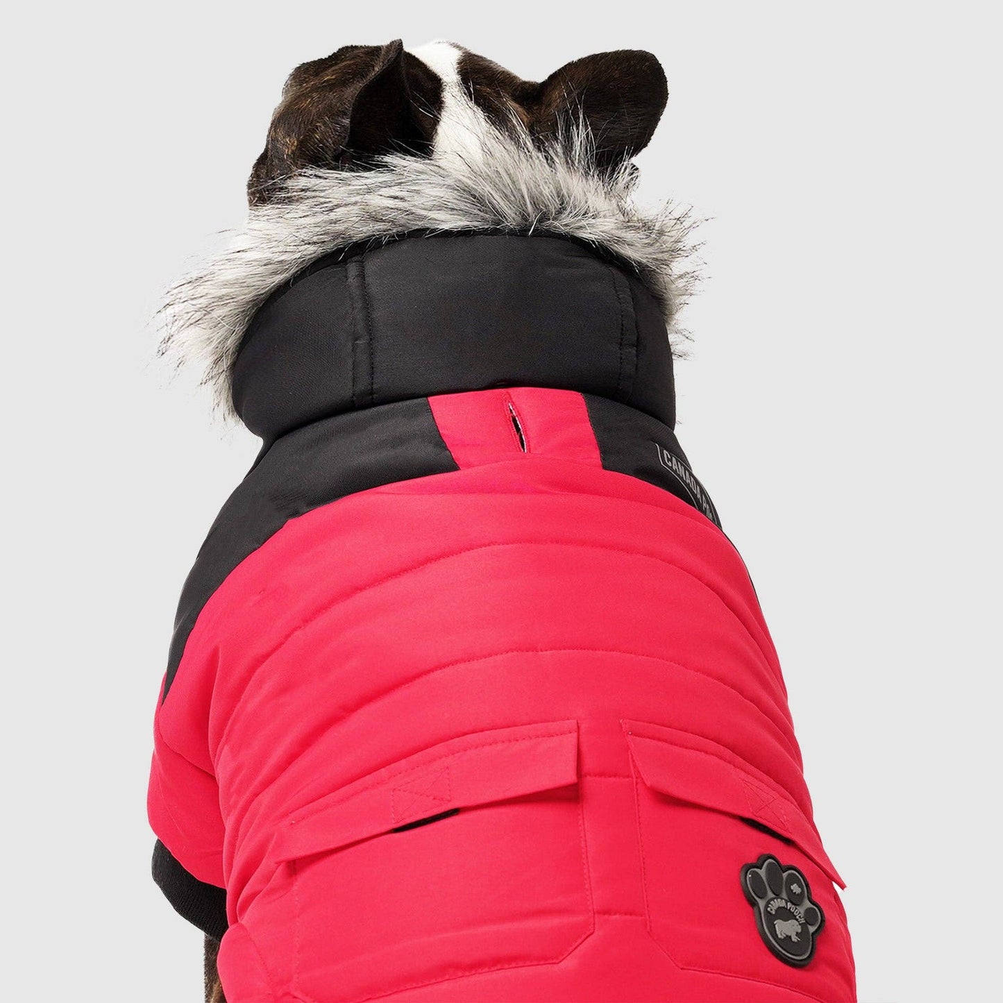 True North Dog Parka