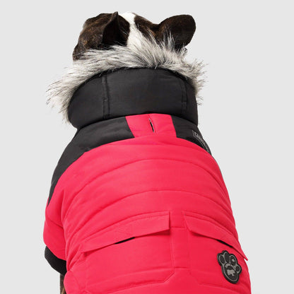 True North Dog Parka
