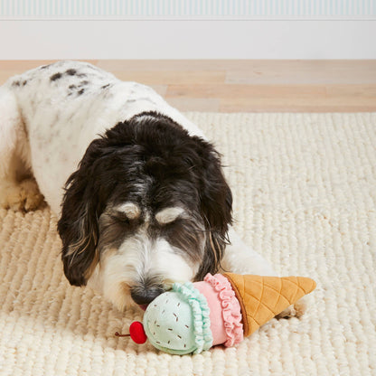 Ice Cream Snuffle Dog Toy