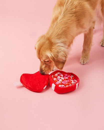 Be My Valentine Snuffle Toy