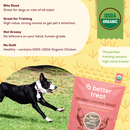 Organic Freeze Dried Chicken Breast Dog and Cat Treats