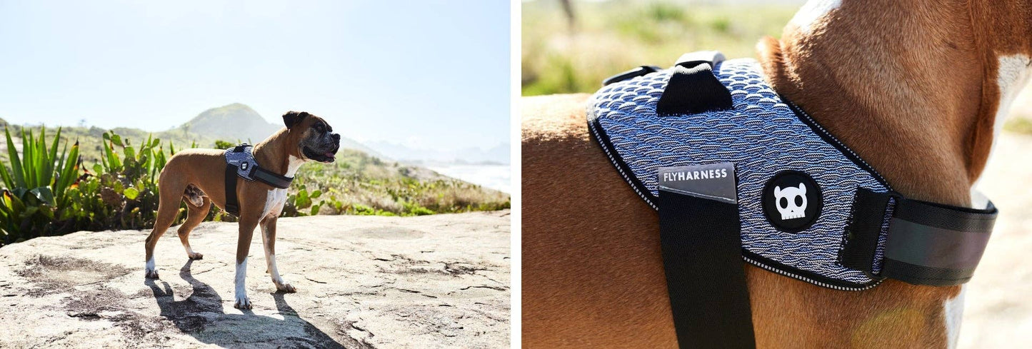 Urban | FlyHarness