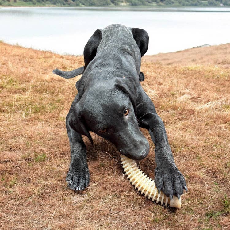 Flufflehorn eChew Ultra Durable Nylon Dog Chew - XL