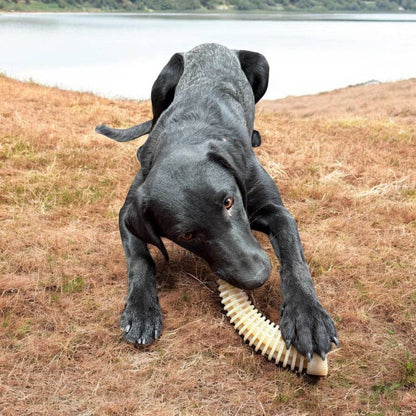 Flufflehorn eChew Ultra Durable Nylon Dog Chew - XL