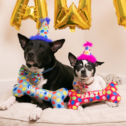 Party Time Bone Blue Dog Toy