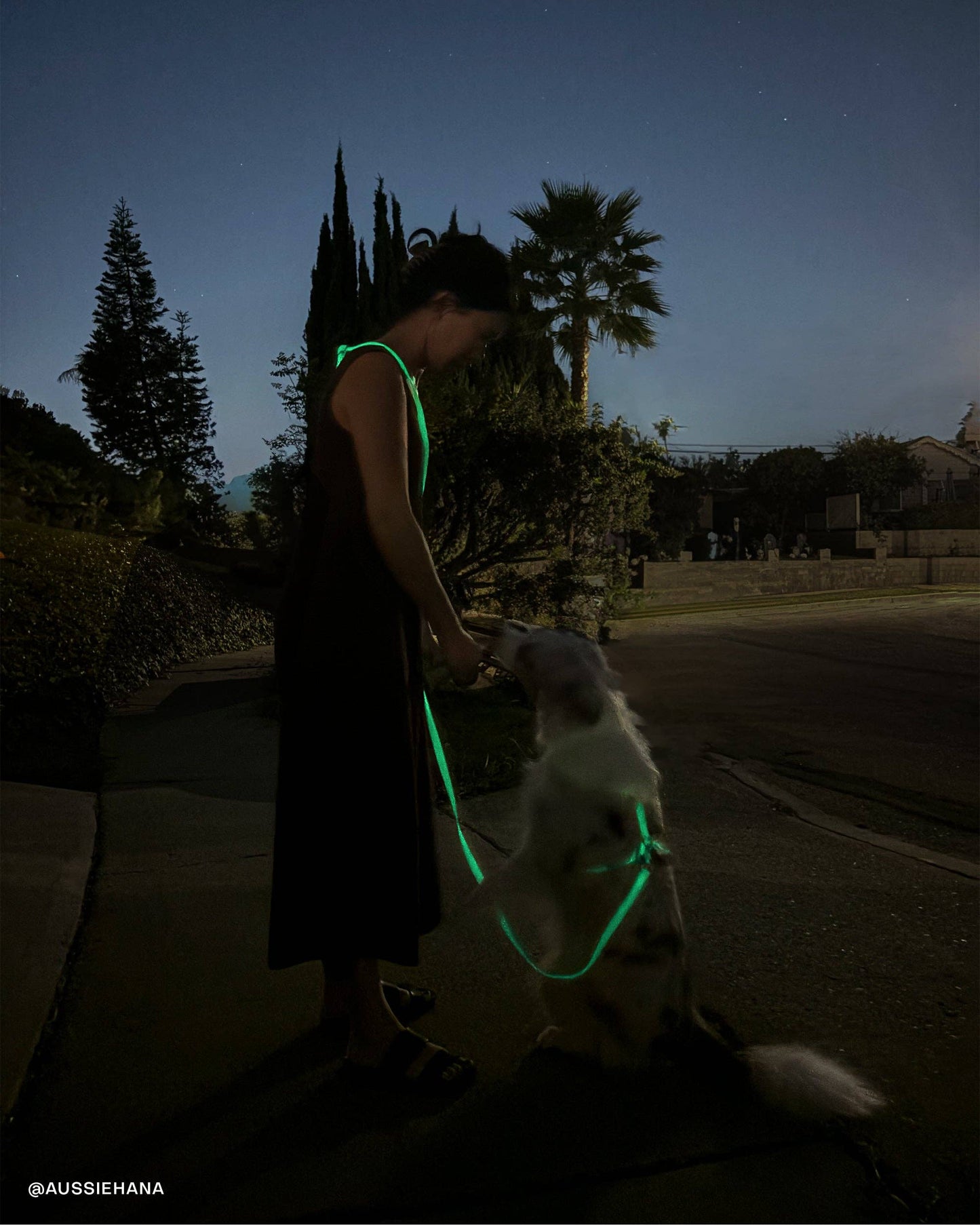 Lunar Glow Waterproof Dog Collar