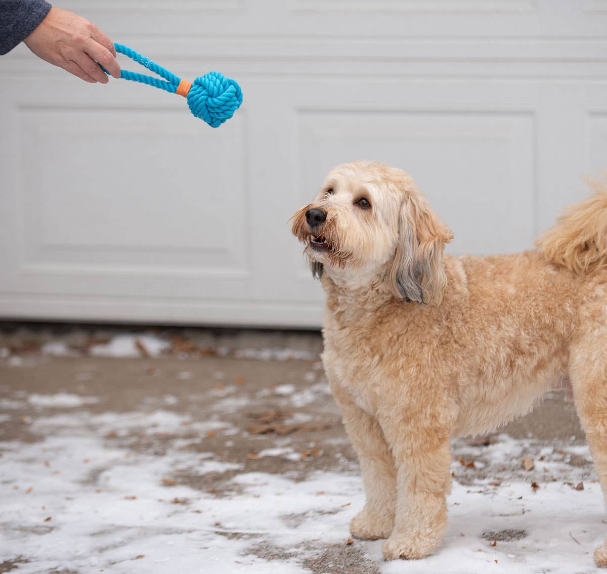 ThoozyPet Ball Tug Rope Yellow 3"