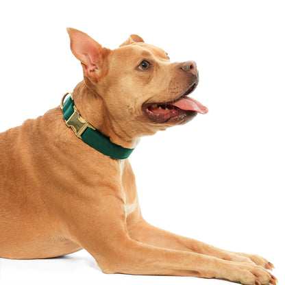 Foggy Dog Forest Green Velvet Bow Tie
