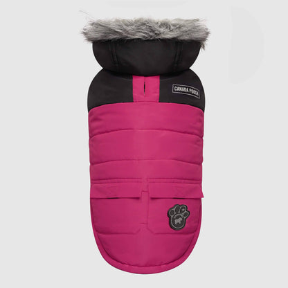 True North Dog Parka