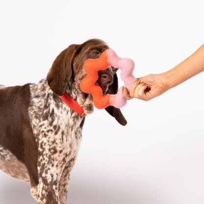 Awoo Wiggle Ring Felt Toy