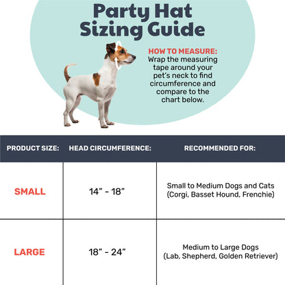 Happy Got Me Day Party Hat
