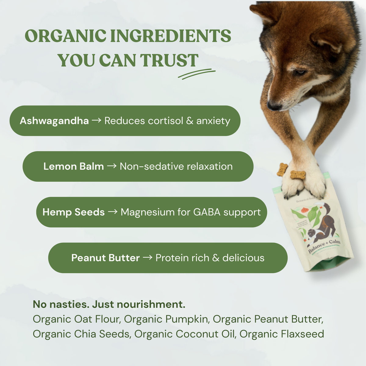 Balance + Calm Cookies - All Natural, Organic Dog Treats