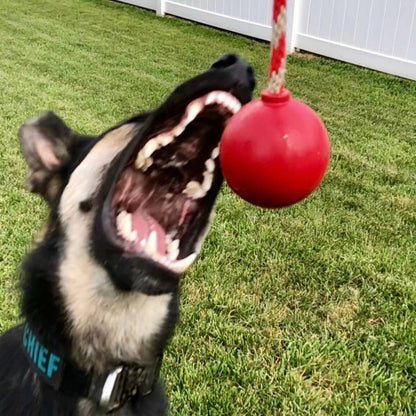 USA-K9 Cherry Bomb - Chew Toy - Reward Toy