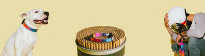 Prisma | Collar