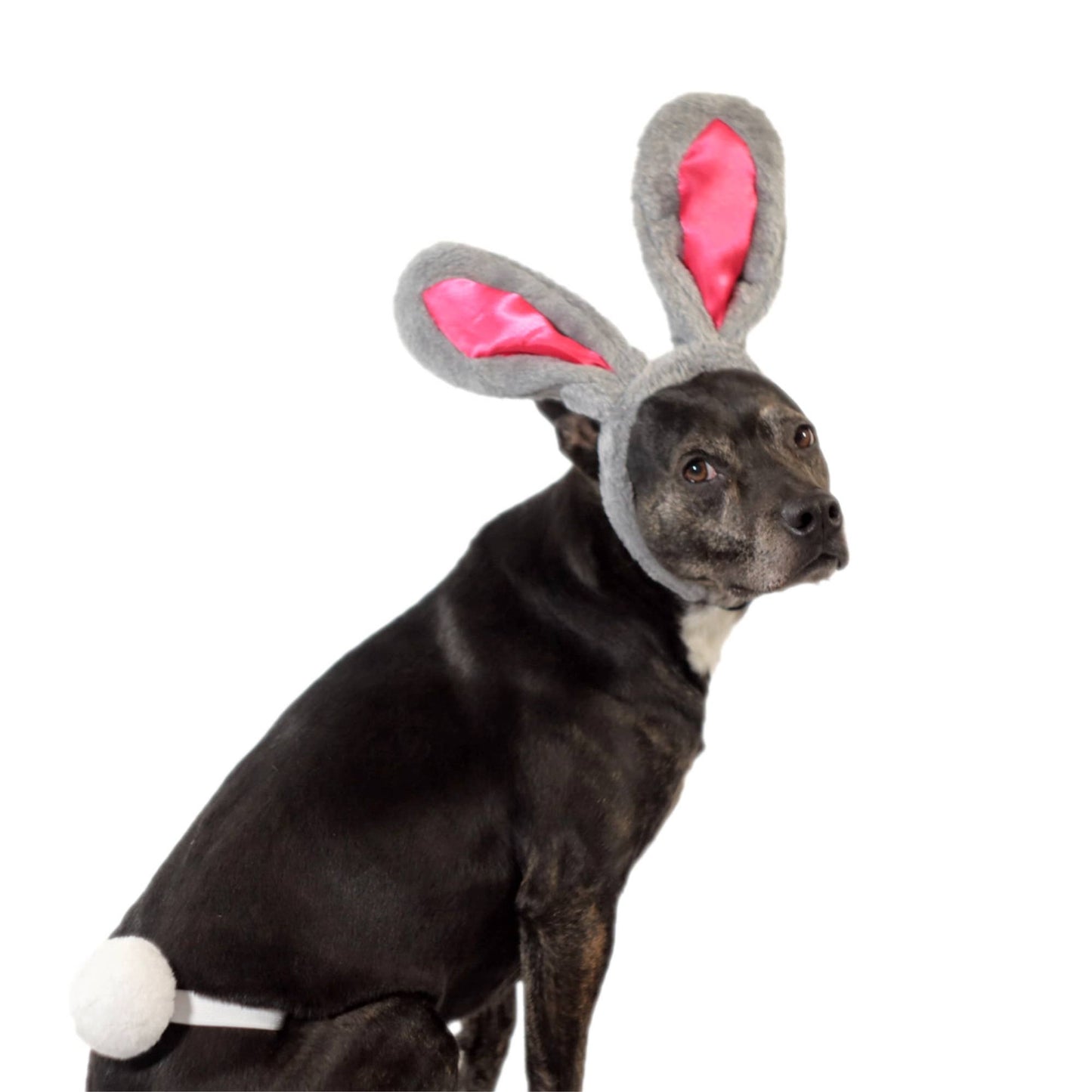 Midlee Easter Bunny Rabbit Ears with Tail