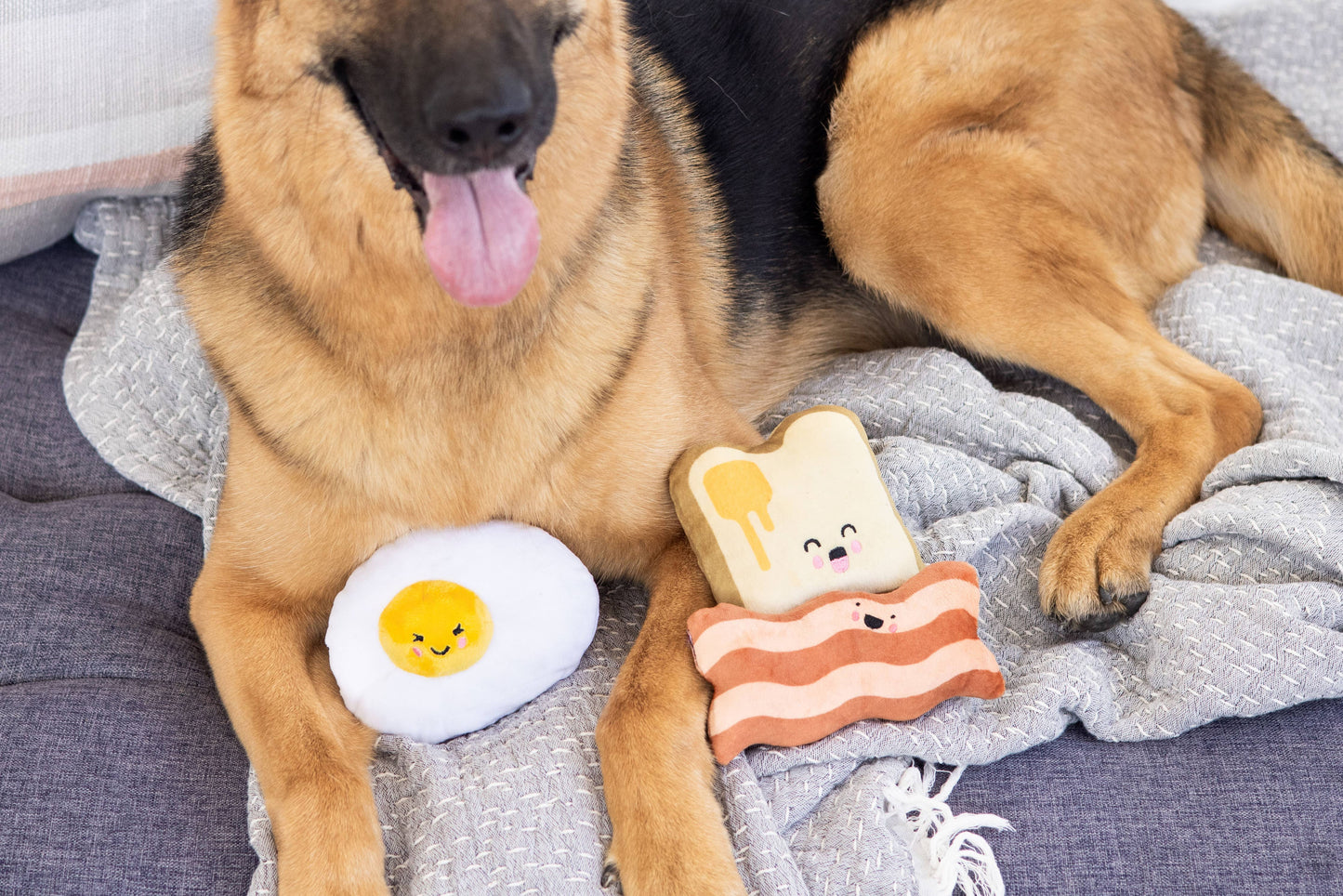 Pearhead Barkfast Dog Toy Set 3pc