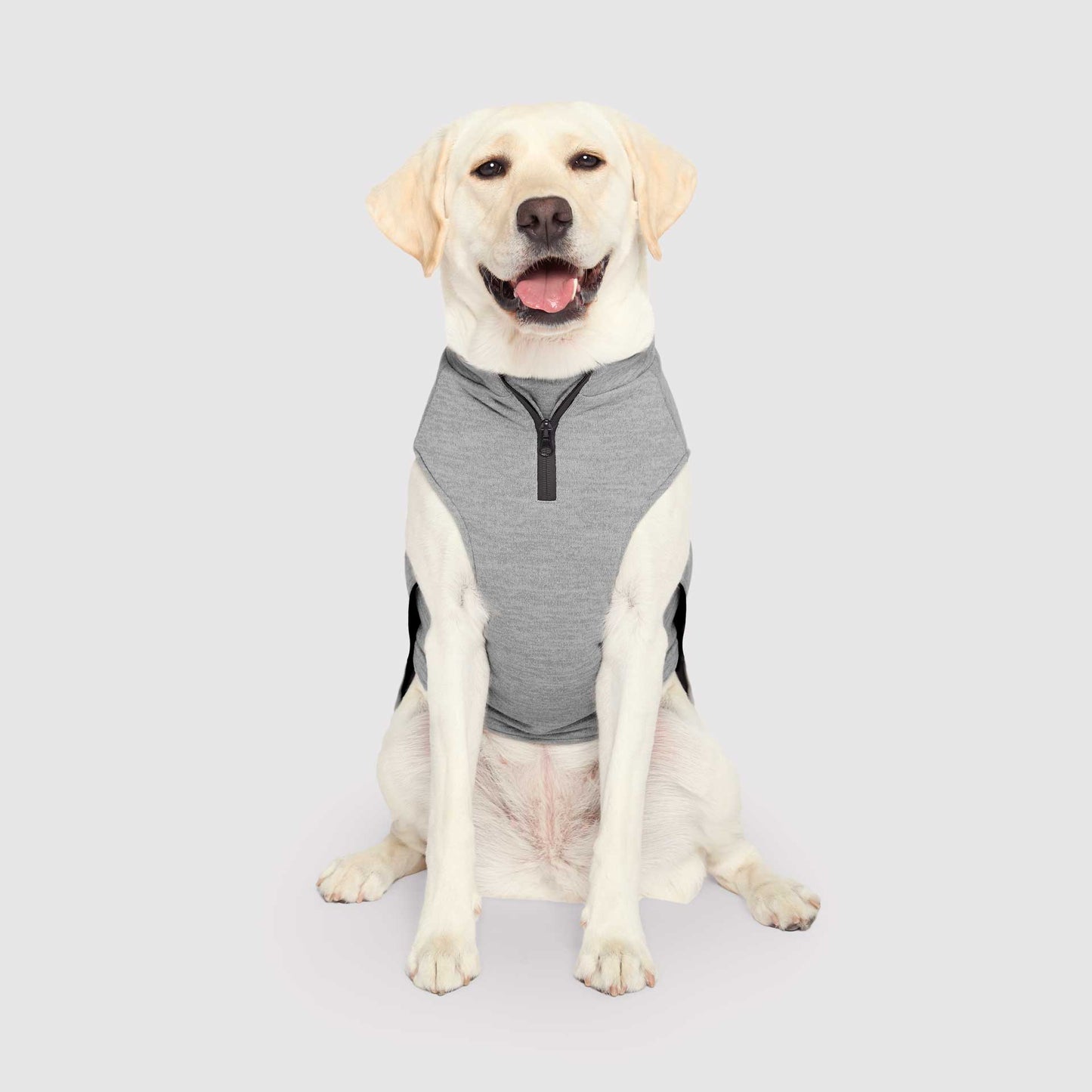 Waterproof Sweater- Dog Sweater