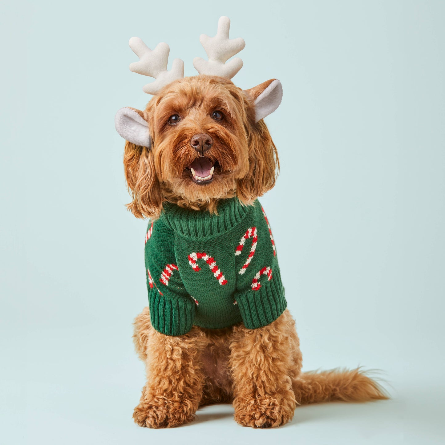 Foggy Dog Candy Canes Sweater