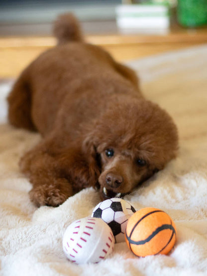 ThoozyPet Tennis Ball Asst Baseball/Basketball/Soccer