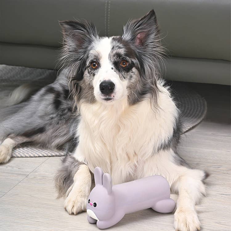 HugSmart Pet - Hoppin' Easter | Hoppy Bunny - Dog Plush Toy