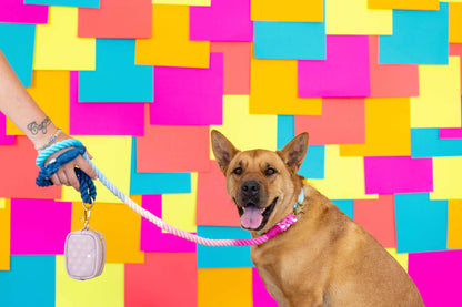 Maddox Rope Dog Leash | Pink Blue