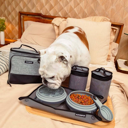 Bistro Box Dog Food Travel Kit