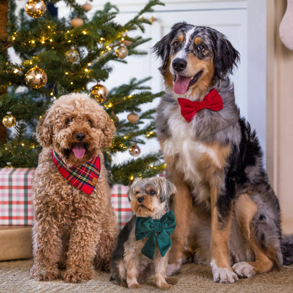Foggy Dog Tartan Plaid Flannel Bandana