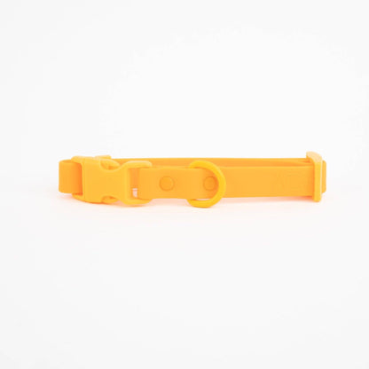 The Fritz Dog Collar 