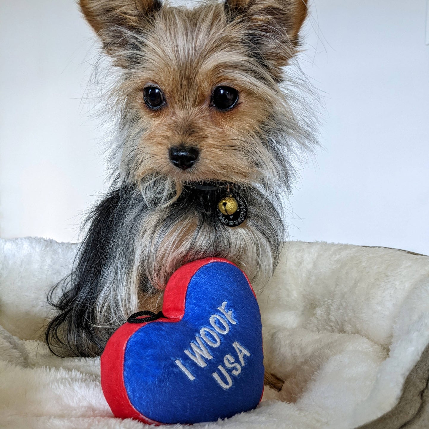 Paws & Stripes Heart Dog Toy