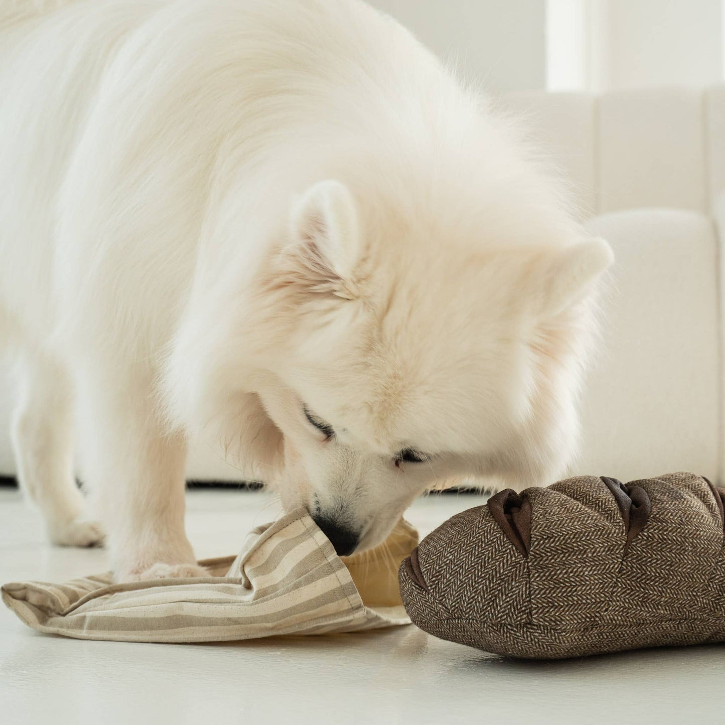 RYE DOG TOY