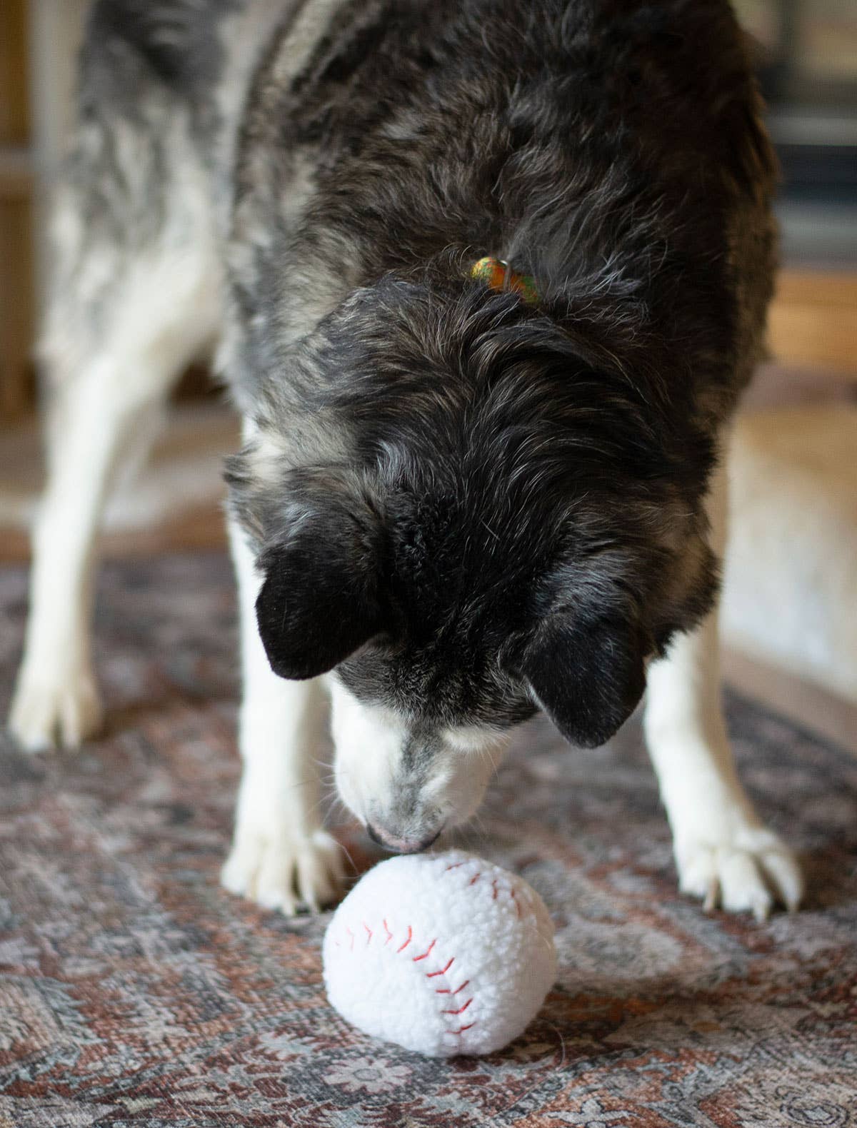 ThoozyPet Baseball Toy 4"