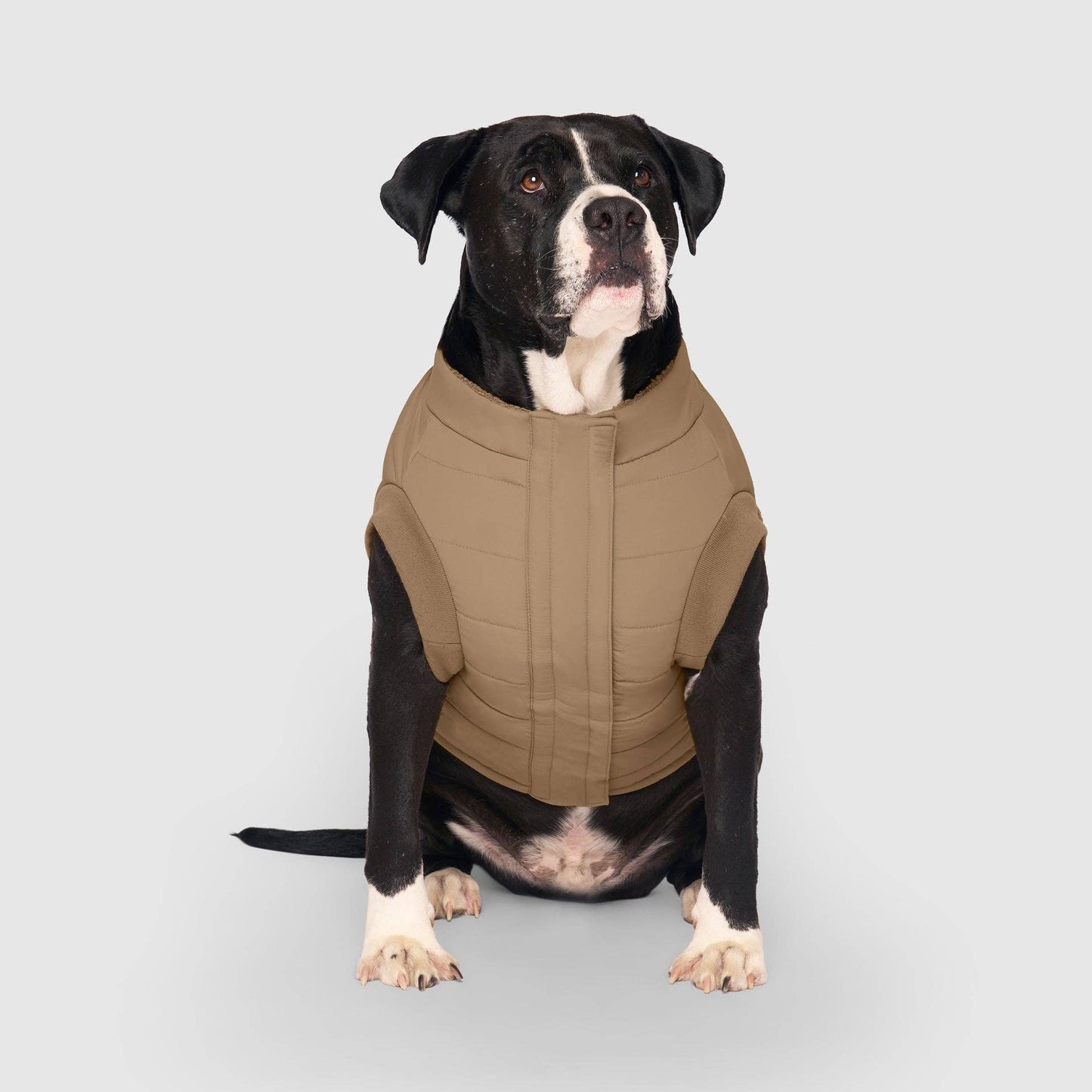 Cool Factor Puffer Jacket- Dog coat