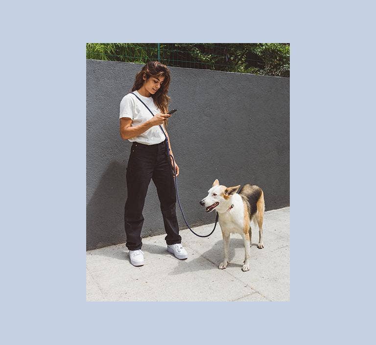 Deep Blue | Hands-Free Leash