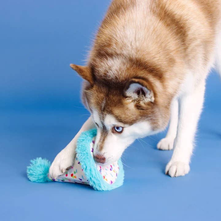 PetShop by Fringe Yappy Barkday Rubber/Plush Dog Toy