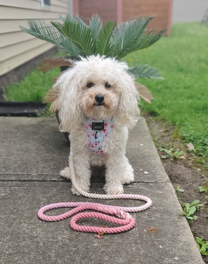 Dog Rope Leash - Rosie