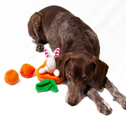 Hide a Toy Carrot with Balls & Rabbit Easter Dog Toy
