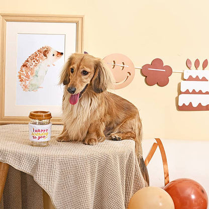 HugSmart Yappy Birthday Brown Birthday Coffee