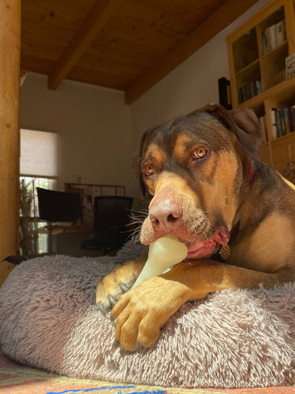 PUP-X Synthetic Rubber Chewing & Floating Bone Toy