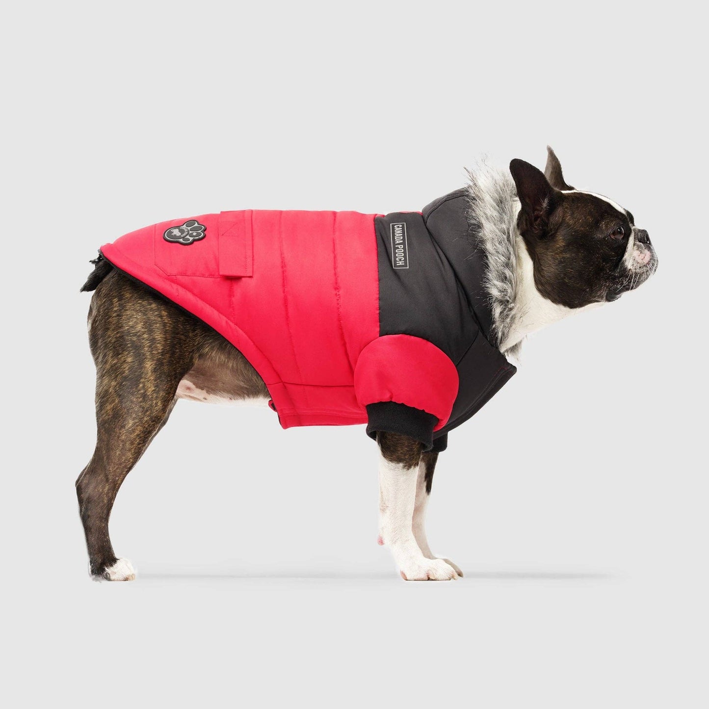 True North Dog Parka